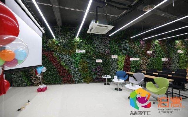 东南青年汇